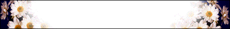 prim.gif